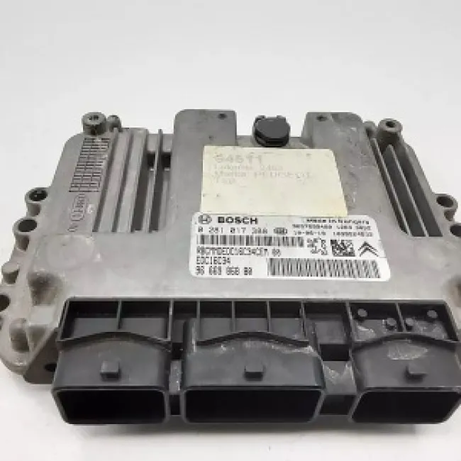 Citroen C3 Motor Beyni 9666986880 0281017388