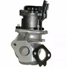 Citroen C2 C3 C4 C5 Berlingo Peugeot 206 207 307 407 1.6 HDi Egr Valfi 161859